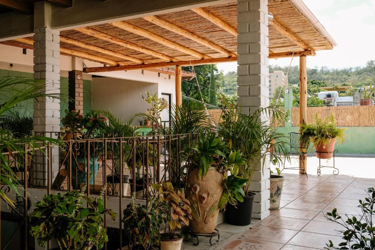 Sunshine House - Made By Artists Vila Oaxaca Exterior foto